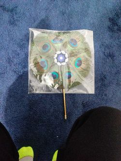 Real Peacock Feather Fan