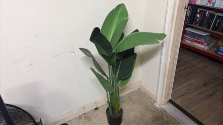 Fake plant