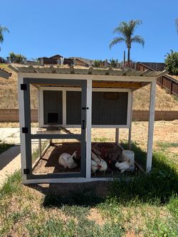 Chicken Coop