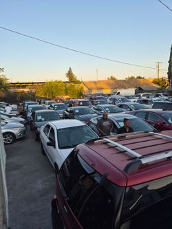 Public auctions
