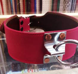 Dog collar