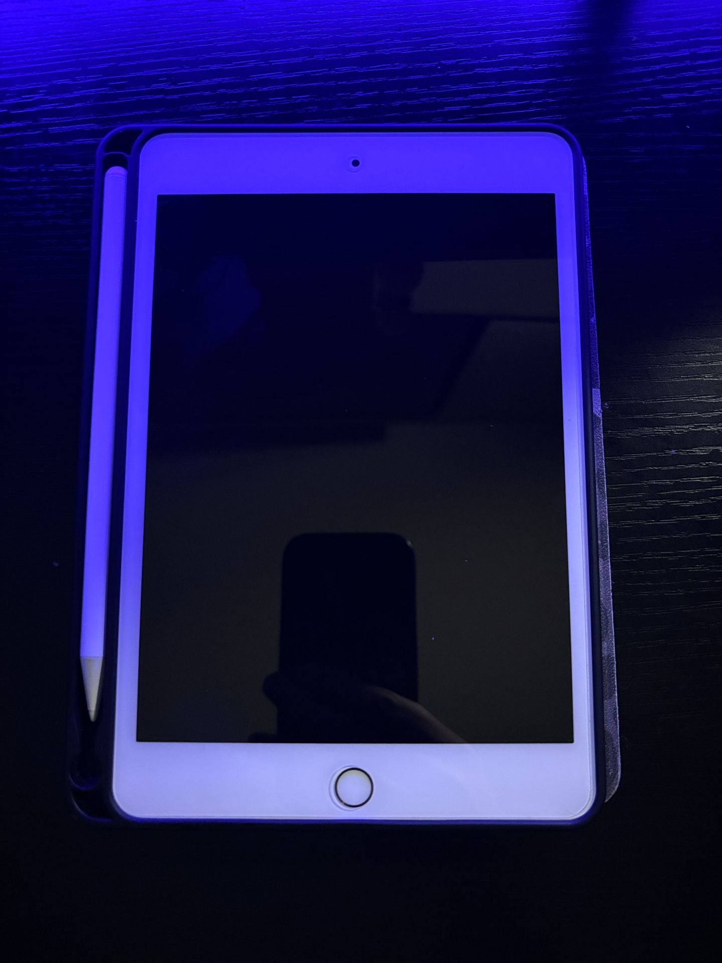 iPad Mini