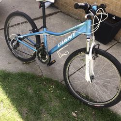 Giant Bike for Kids