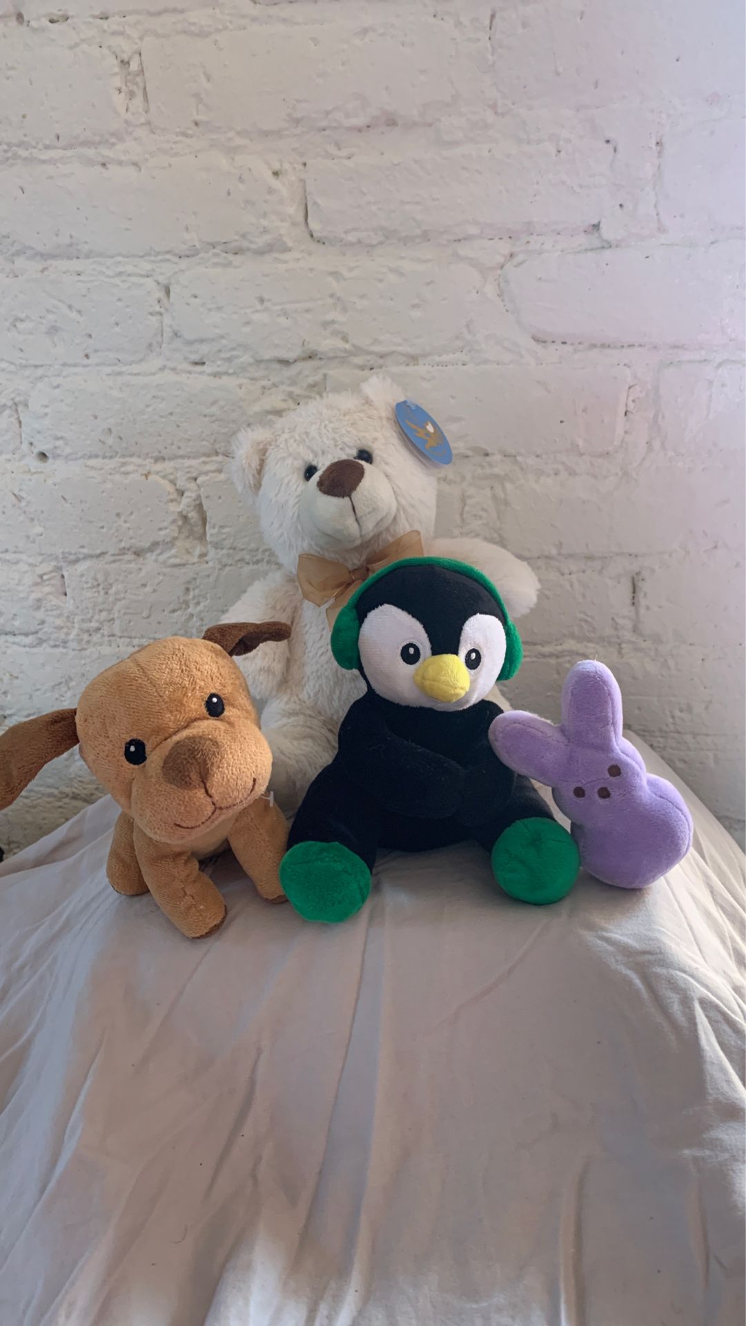 FREE Clean stuffed animals!