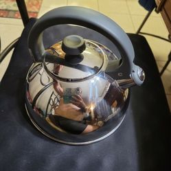 Stainless Steel Whistle Mouth Kettle