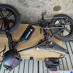 Bicycle (Electric) E-bike 