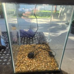 10 Gallon Fish Tank