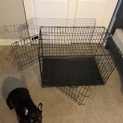 Large Dog Crate 
