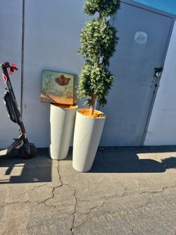 Two Out Door Patio Trees