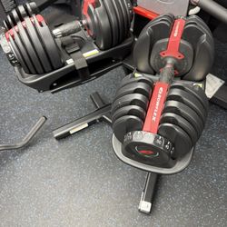 BowFlex Results Series 552 SelectTech Dumbbells (Pair) with Stand 