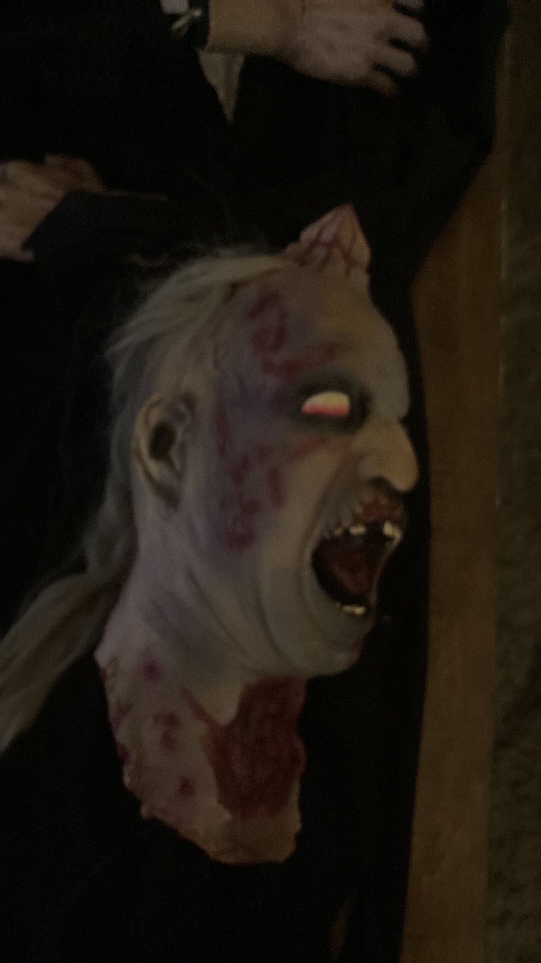 Halloween decor