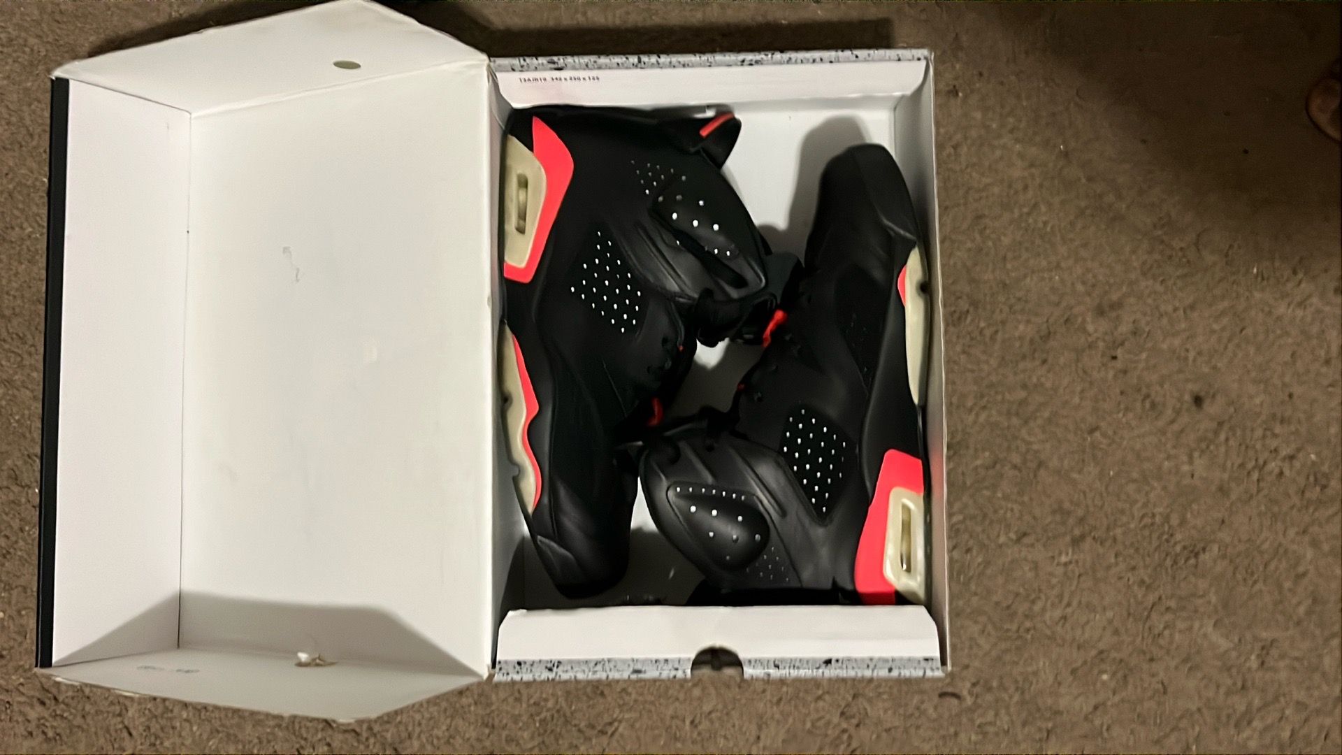 Jordan 6