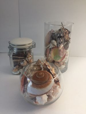 Seashell Vase Decor For Sale In Danville Ca Offerup