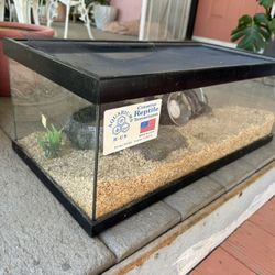 Reptile Tank Terrarium Kit With Lights $60