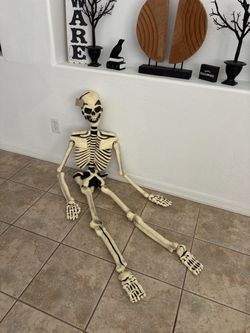 Skeleton Full Size
