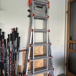 Little giant extreme ladder With Wall Wing And Mount