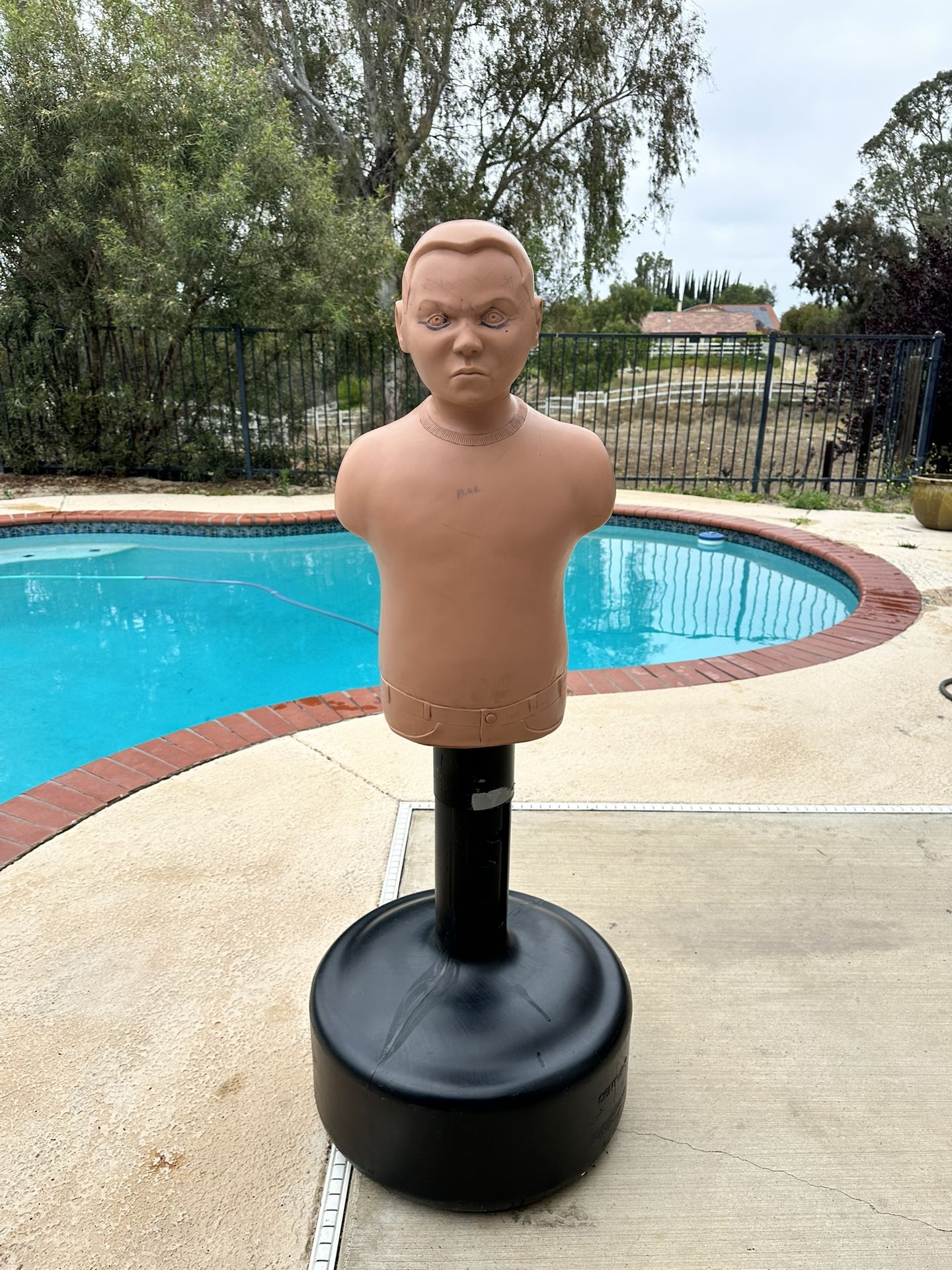 Bobby Bully By Century