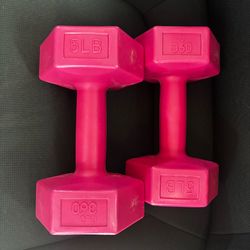 Flo 360 5 lb Pink Dumbbell Set