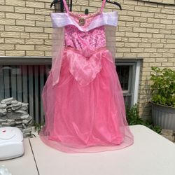 Disney’s Sleeping Beauty Costume