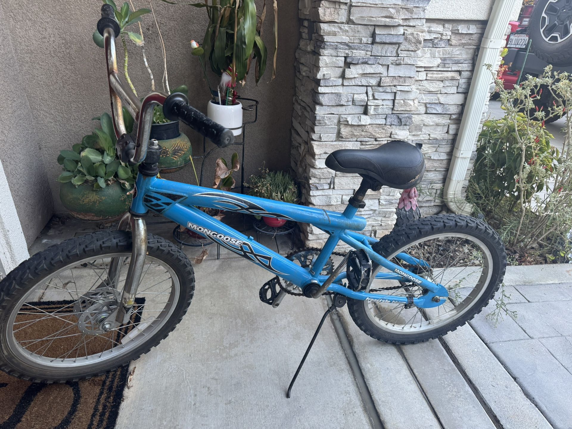 Mongoose Bike