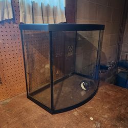 29 gallon Fish Tank With Hood And Light