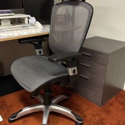 Ergonomic Office Chair