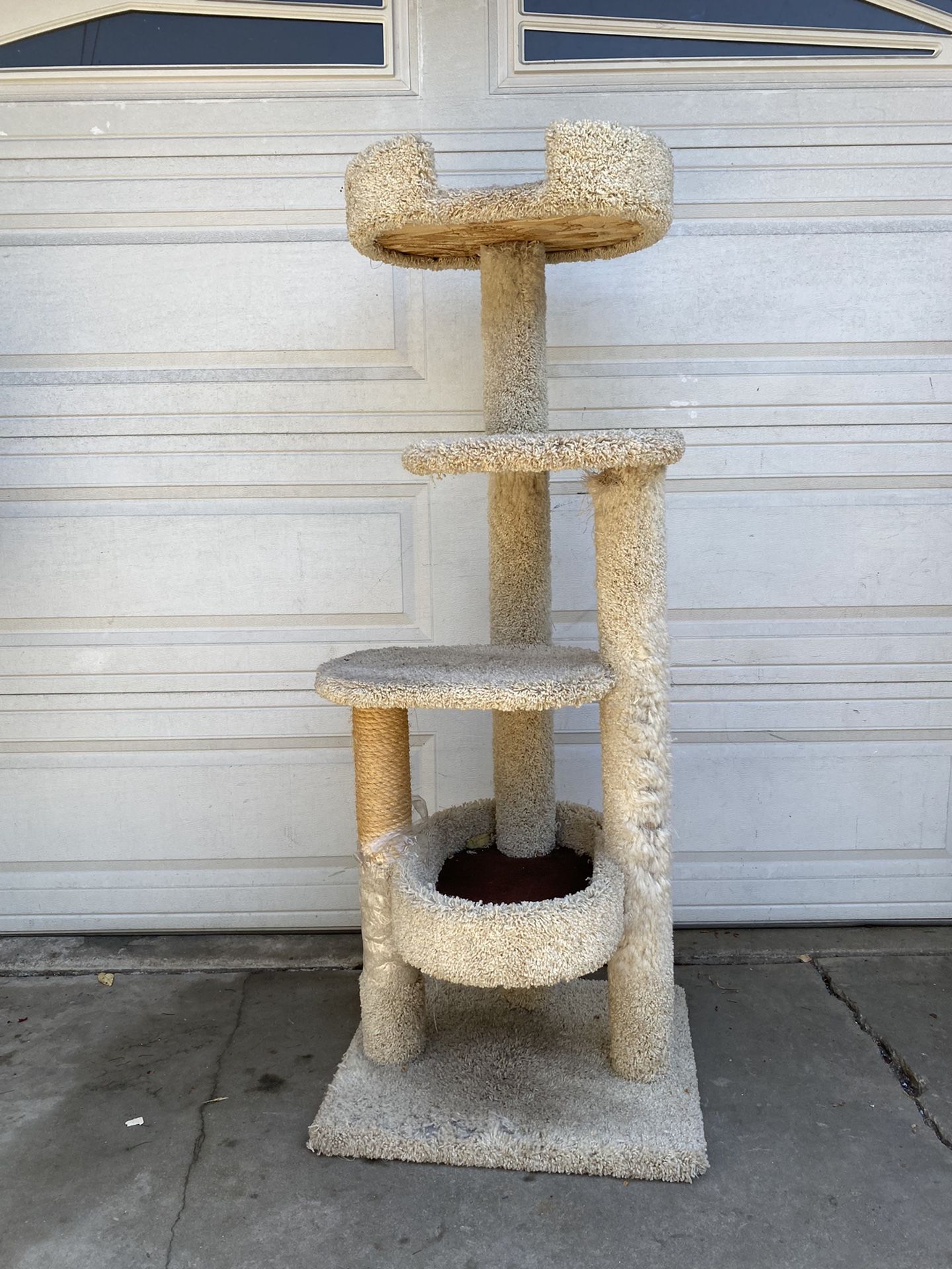 Cat Tree Look At All The Pictures 