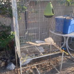 Bird Cage 