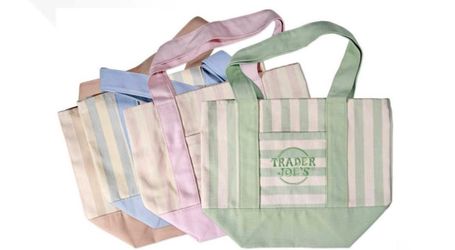 NEW Viral TJ Pastel mini totes💗💚🤎💙
