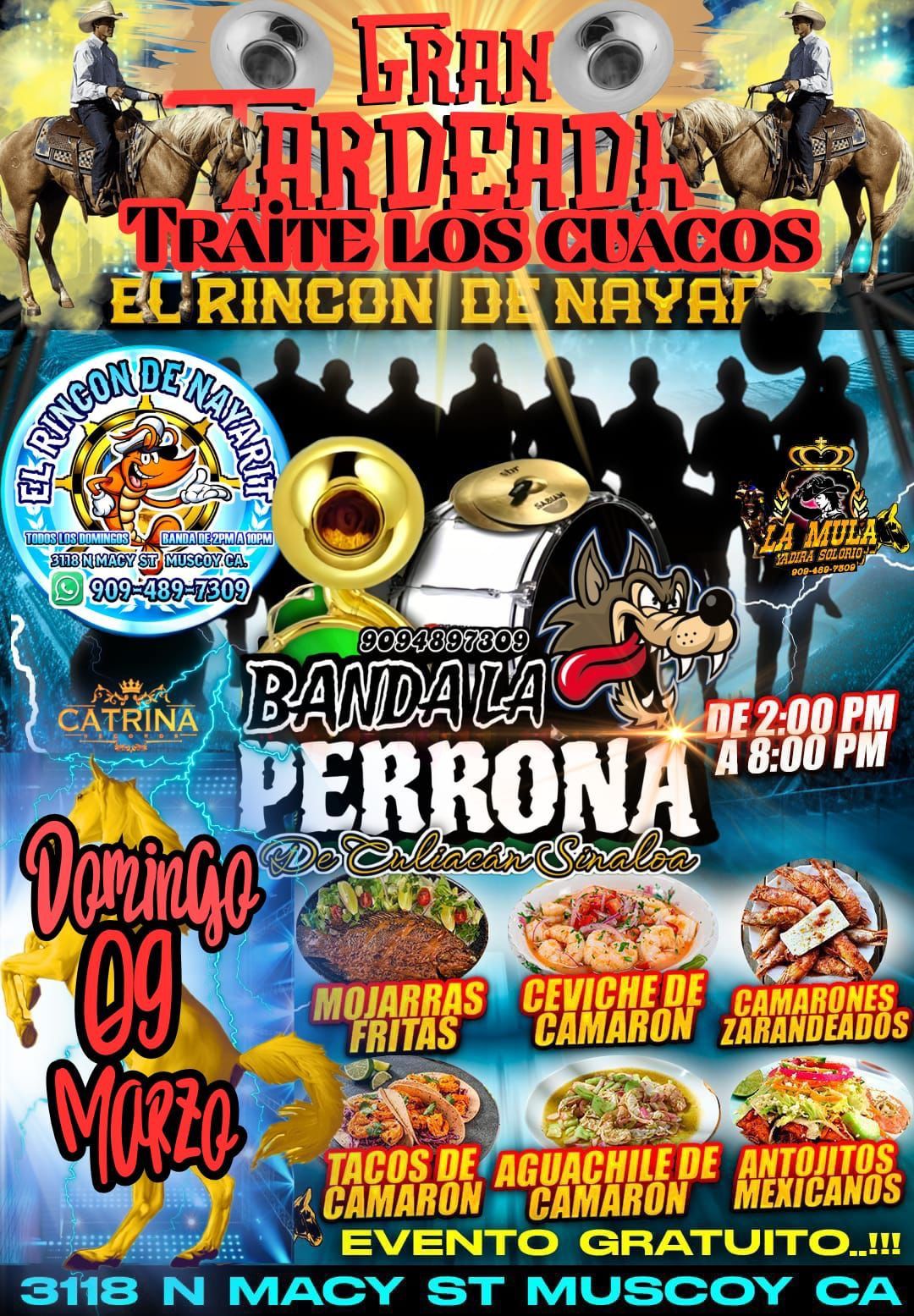 Domingo 9 MARZO 1pm 8 Pm Evenro?gratuito