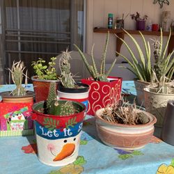 Living Stocking Stuffers 