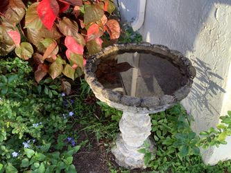 Concrete Pedestal Bird Bath
