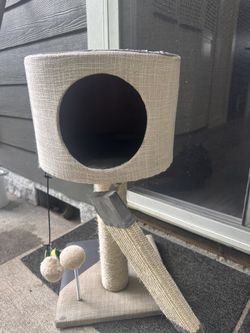 Cat Scratching Post 