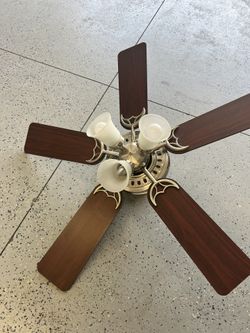 Hunter Ceiling Fan With Lights