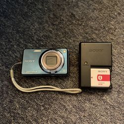 Sony DSC-W290 Cybershot Digital Camera W Charger