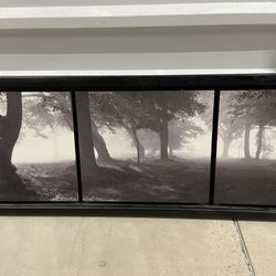 Wall Art- See Description!