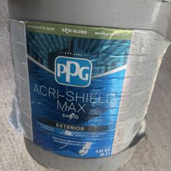 Ppg Paint