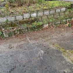 Free! Wire From An Old Fence