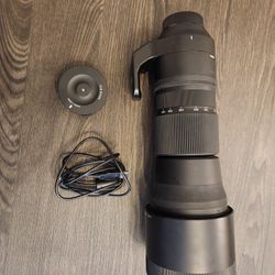 Sigma 150-600mm Contemporary Lens