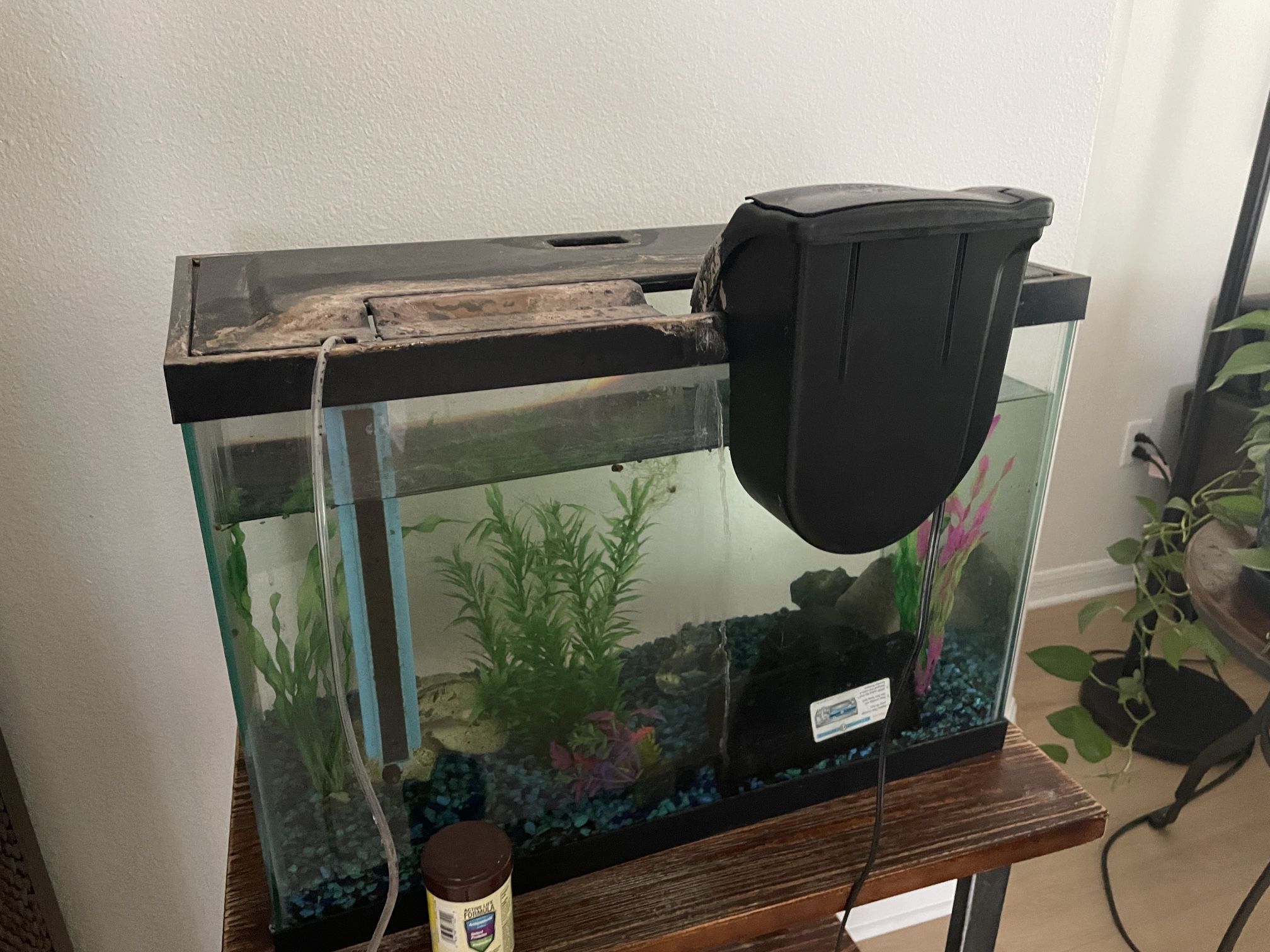 Fish Tank With Fish Supplies