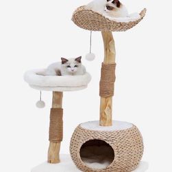 Kelston 40.5" Cat Tree for Indoor Small Cats, Woven Cattail Fabric