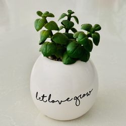 Let Love Grow Artificial Fake Plant, 6 inches 