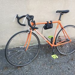 Motobecane Bicycle In Semi-autuem Metallic