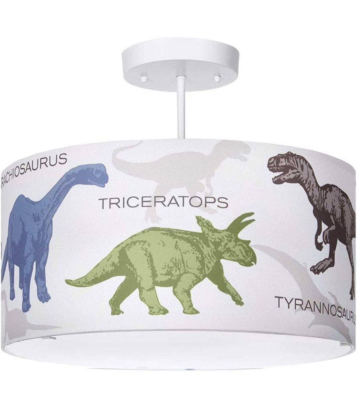 Kids Dinosaur Light Fixture 