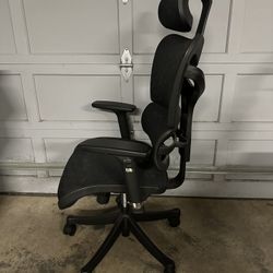 Executive Ergonomic Desk Chair