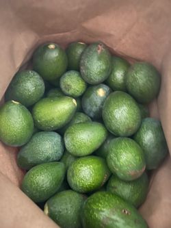 Avocados