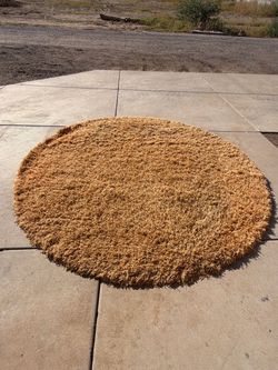 Dayln XL Circle area rug