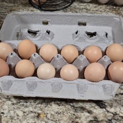 Fresh Organic Eggs