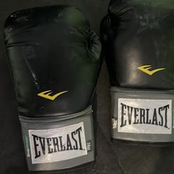 15 Everlast Boxing Gloves 