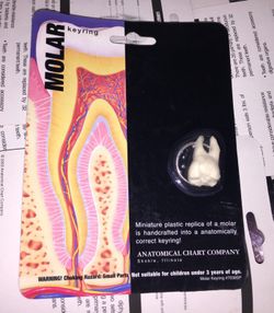 Tooth (Molar) key chain (lot of 20)